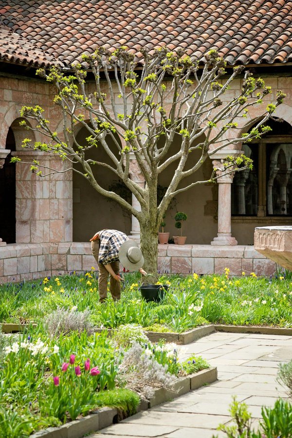 Les Tendances en Médecine du Sport pour 2024